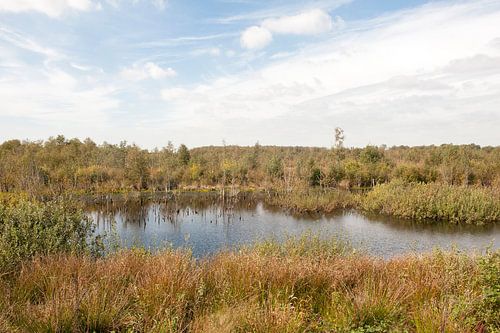 Internationaler Naturpark Bourtanger Moor-Bargerveen
