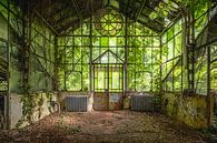 Historical greenhouse by Frans Nijland thumbnail
