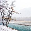 Turqoise water: winter in Kamikōchi Japan fotoprint van Manja Herrebrugh - Outdoor by Manja