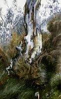 Australian Landscape white eucalyptus