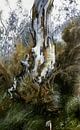 Australische Landschaft weißer Eukalyptus von KB Prints Miniaturansicht