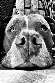 The Great Watchman by EG-Creations - Esther Gorlee