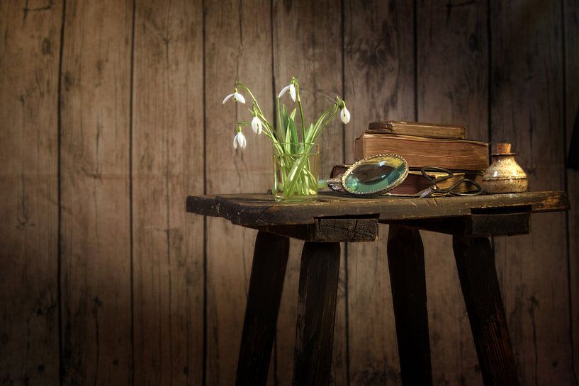 vase with snowdrops, book and other old objects on a vintage stool against a dark rustic wooden wall by Maren Winter