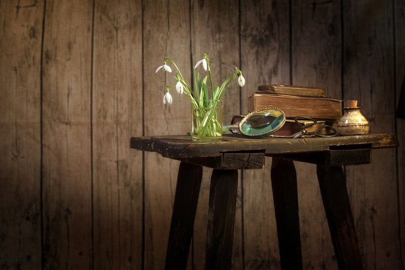 Vase mit Schneeglöckchen, Buch und anderen alten Gegenständen auf einem alten Hocker vor einer dunkl von Maren Winter