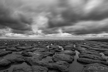 Waddenzee bij Eb , Moddergat, zwart wit van Patrick Verhoef