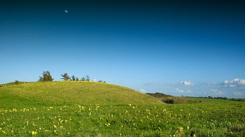 Landschap in Denemarken