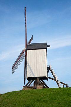 Windmills of Bruges, Flanders, Belgium by Alexander Ludwig