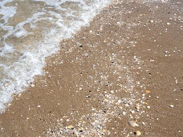 Wellen mit Sand und Muscheln Hintergrund von Animaflora PicsStock