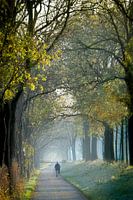 Boslaantje in herfsttinten