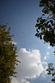 Een vliegtuig tussen de wolken van Rieneke Schokker