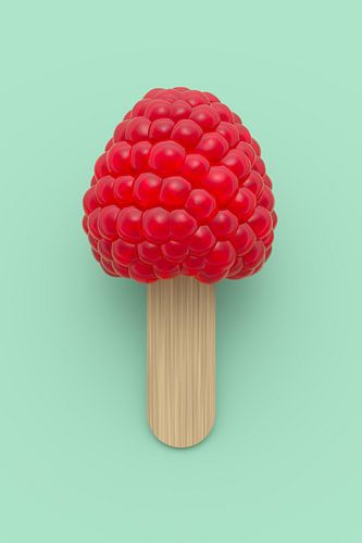 Framboos op stengel