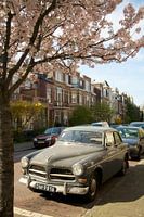 Volvo in de Lente