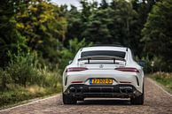 Mercedes-Benz AMG GT 63 4-door by Bas Fransen thumbnail