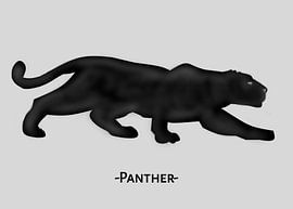 Shadow Prowler by John Dan