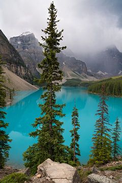 Moraine Lake, Banff National Park, Alberta, Canada van Alexander Ludwig