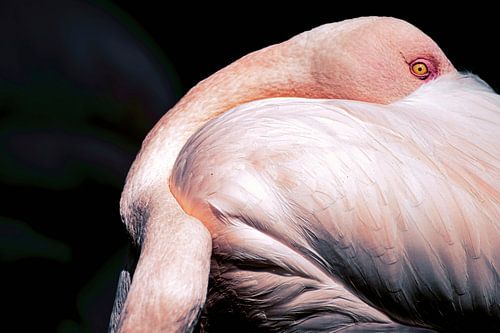 Roze en zachte flamingo