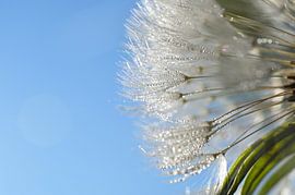 Kleine Wasserkristalle mit blauem Himmel