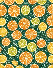 Citrusvruchten Delight