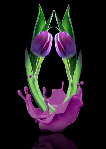 Tulpe Zusammensetzung gespritzt