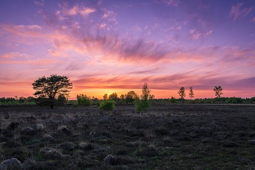 Zonsondergang op het Balloërveld