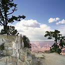 Grand Canyon, USA van Esther Hereijgers thumbnail