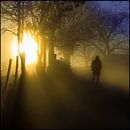  Silhouet in de mist bij zonsopgang van Alain Ulmer thumbnail
