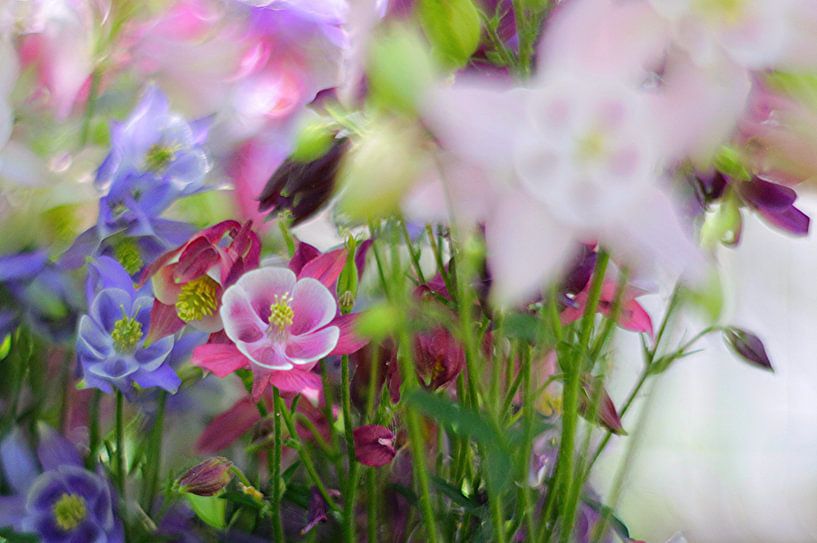 Frühlingsblumen-Bouquet von Marianna Pobedimova
