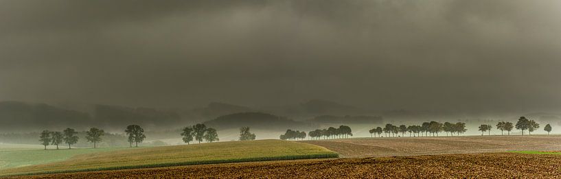 Goldener Herbst von Johnny Flash