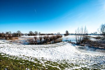 Winter landscape by Brian Morgan