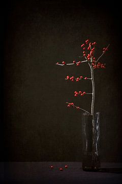 Stille Getuigenis bessen