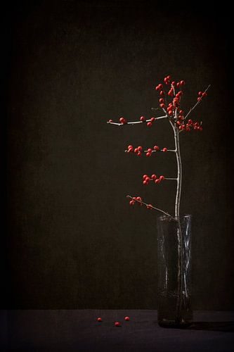 Stille Getuigenis bessen