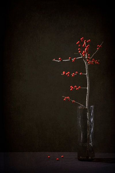 Stille Getuigenis bessen van Karin van Bylevelt