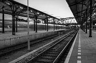 Station Groningen, Snelheid  van Klaske Kuperus thumbnail