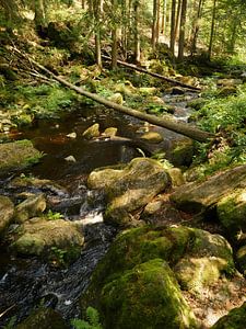 In der Steinklamm bei Spiegelau in Bayern 2