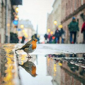 Rotkehlchen in der Stadt von Emiel de Lange