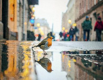 Robin in the city