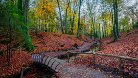 Anwesen Beekhuizen II von Mario Visser