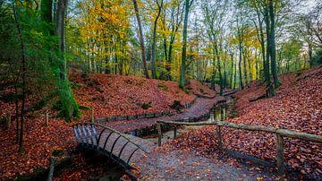 Domaine de Beekhuizen II sur Mario Visser