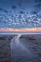 Water to the sea