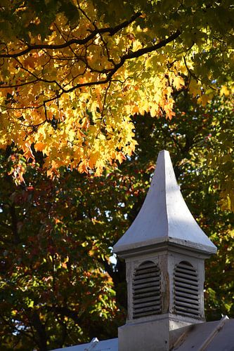 Op de begraafplaats in het najaar