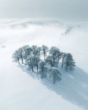 Winterlandschap van bovenaf van fernlichtsicht