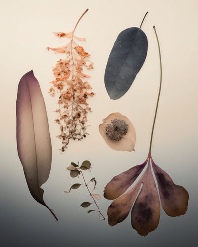 Flatlay von gepressten Blumen kombiniert mit Aquarellfarbe