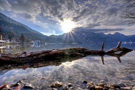Sonnenstern am Kochelsee von Roith Fotografie