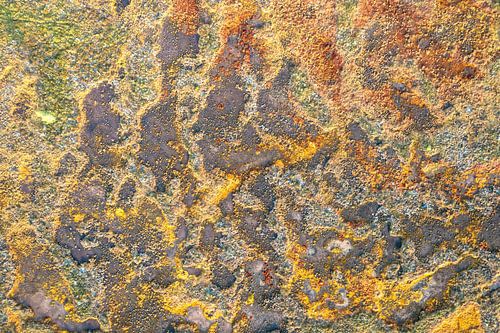 Kleurrijk abstract moeraslandschap van bovenaf gezien.