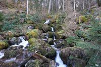 Riviertje uitmondend in de Triberg watervallen