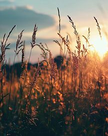 Golden hour