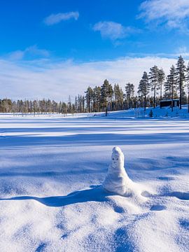 Landschaft mit Schnee im Winter in Kuusamo, Finnland von Rico Ködder