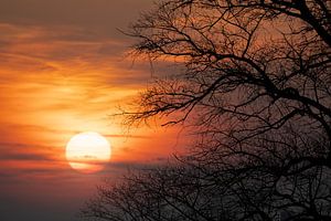 Les yeux sur le soleil