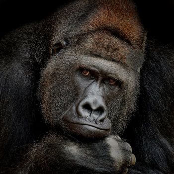 EIN MOMENT DES KONTAKTS