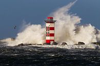 Kracht van de Noordzee tegen de vuurtoren van Menno van Duijn thumbnail